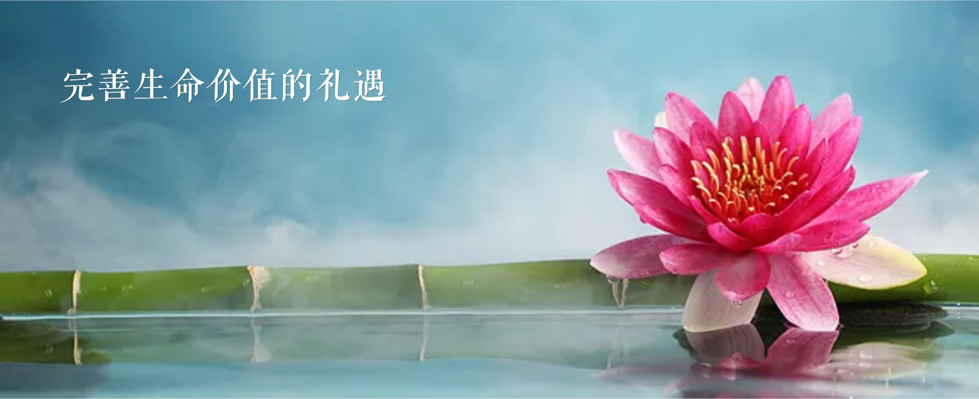 湖南革命陵园banner3